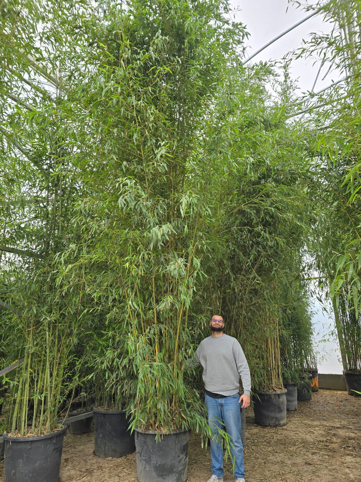 Image du produit 31